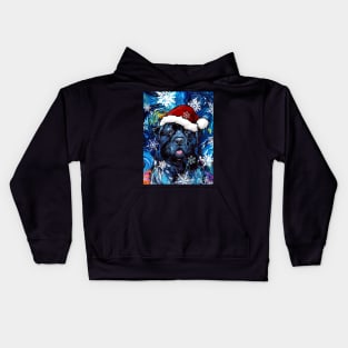 Newfoundland Santa Kids Hoodie